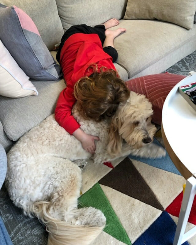 Women’s Community Shelters.