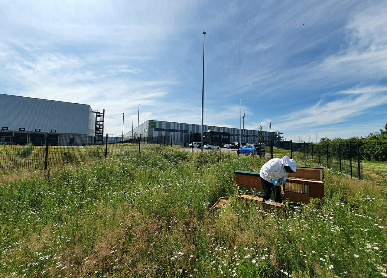 Mönchengladbach IV Logistics Centre, Mönchengladbach, Germany.