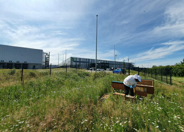 Mönchengladbach IV Logistics Centre, Mönchengladbach, Germany.
